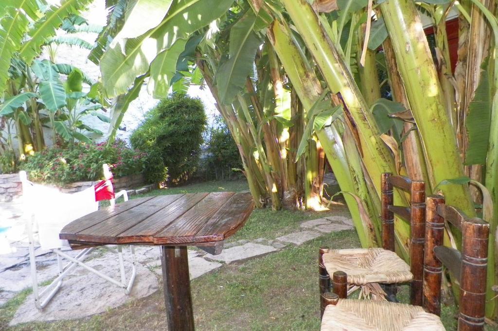 Hostel Mendoza Inn Eksteriør billede